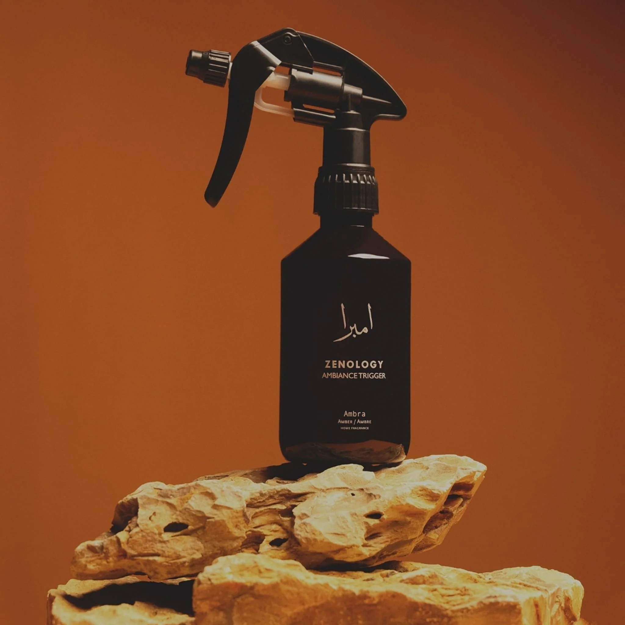 Ambra - Zenology - Image 4