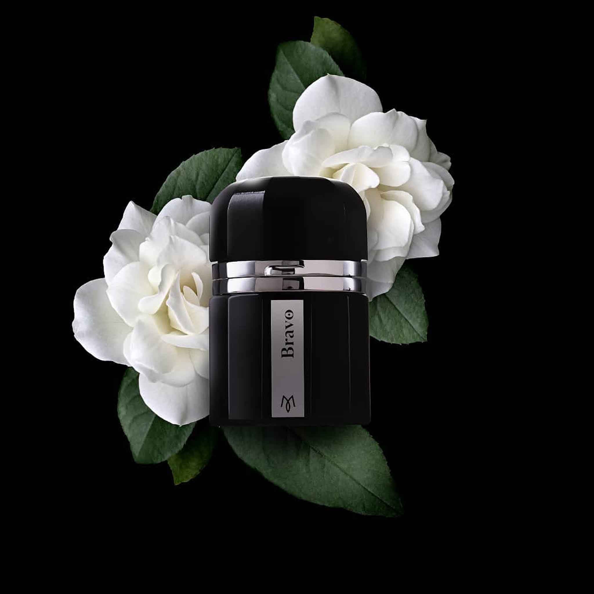 Bravo - Ramon Monegal - Image 4