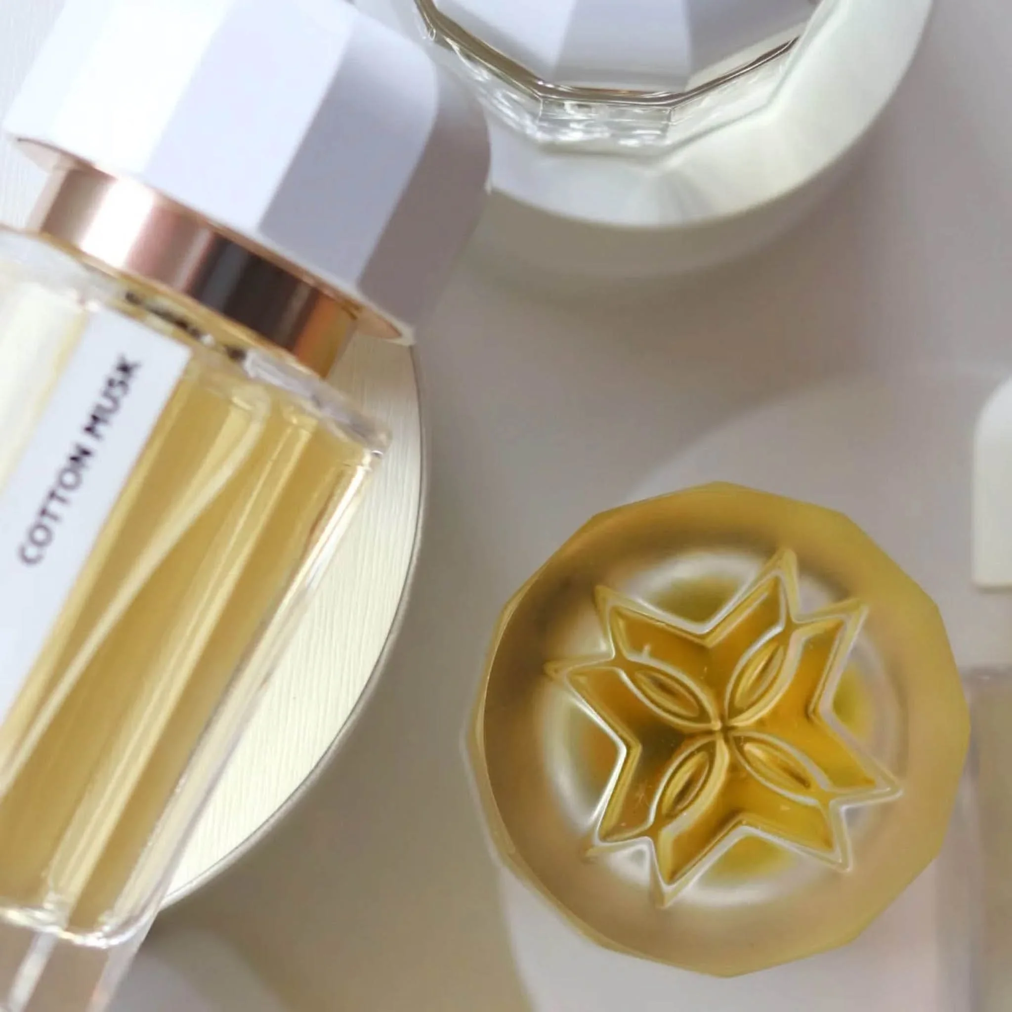 Cotton Musk - Ramon Monegal - Image 3