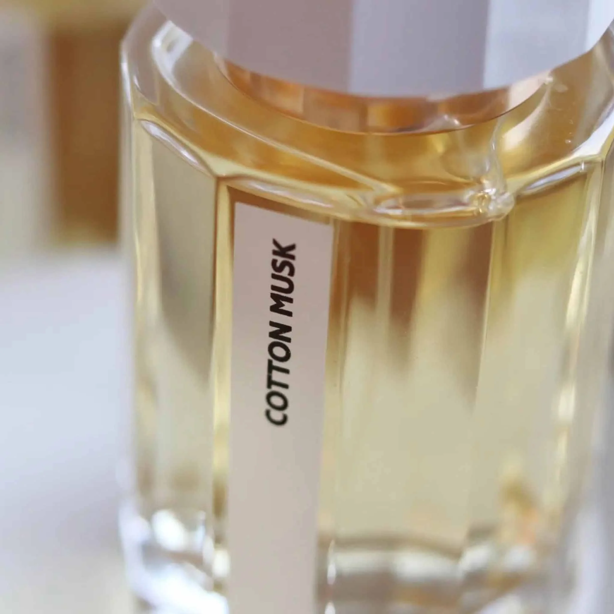 Cotton Musk - Ramon Monegal - Image 4