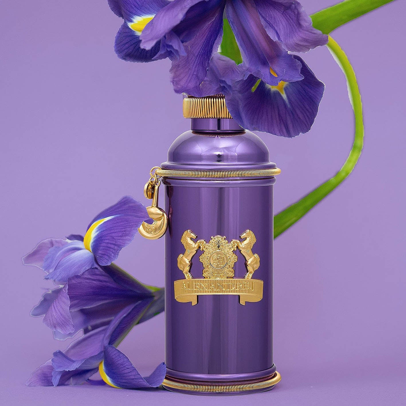 Iris Violet - Alexandre.J - Image 3