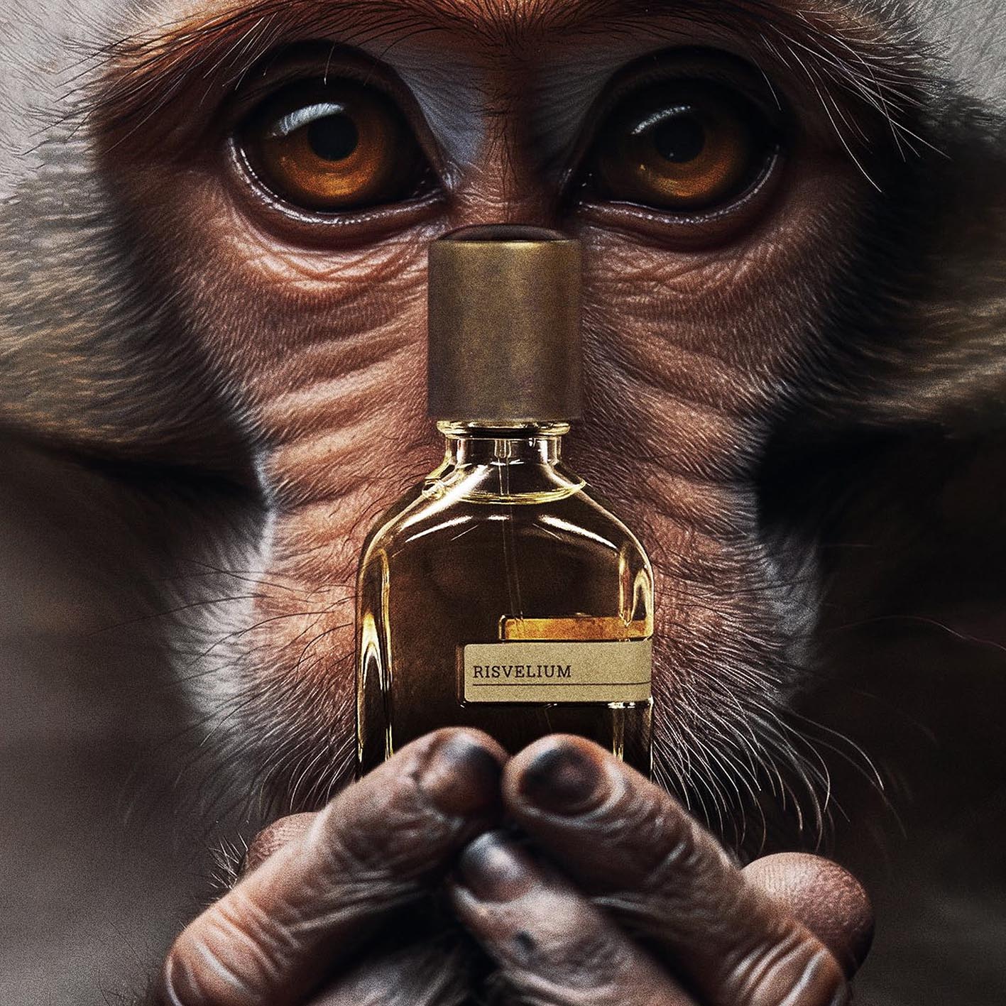 Risvelium - Orto Parisi - Image 4