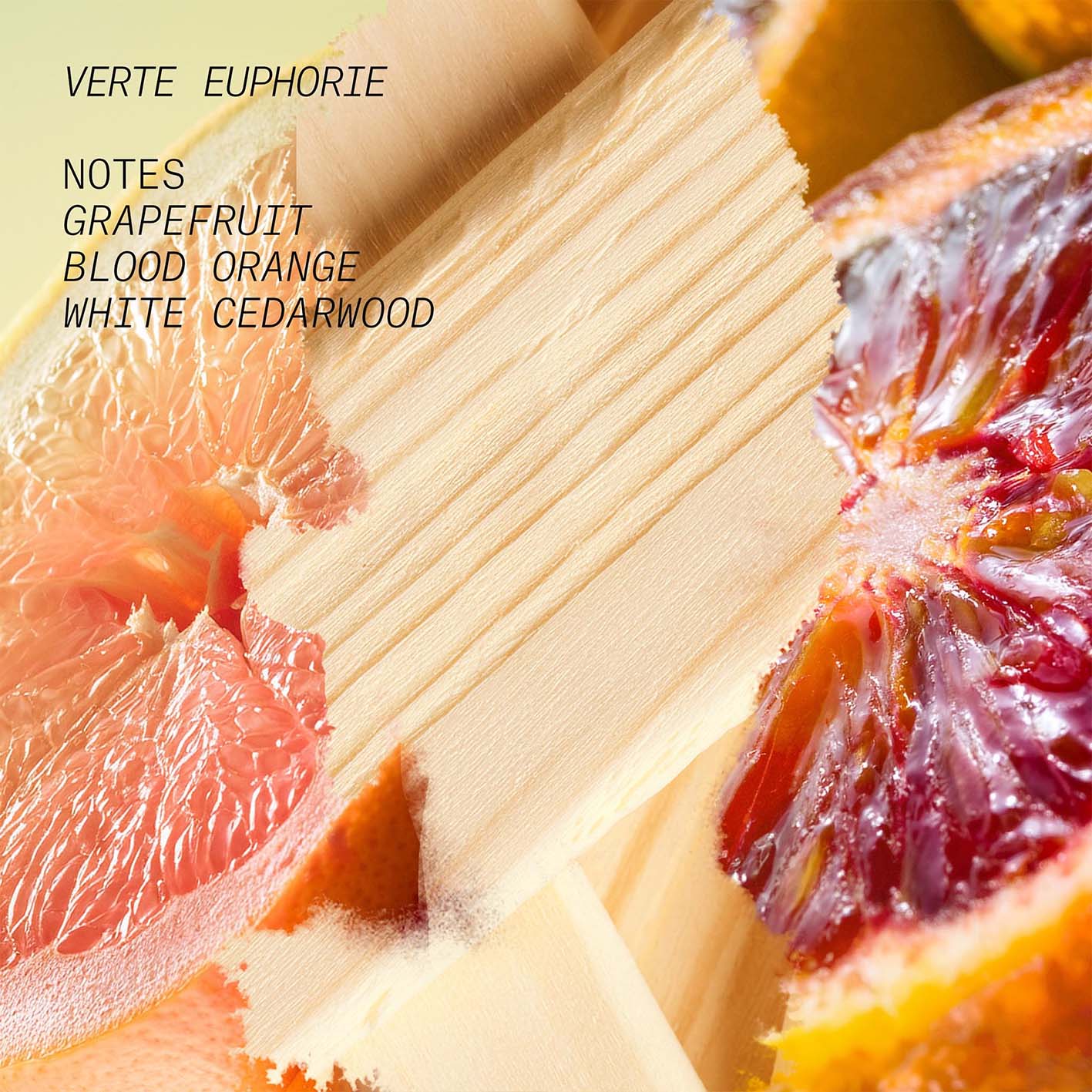 Verte Euphorie - L'Atelier Parfum - Image 3