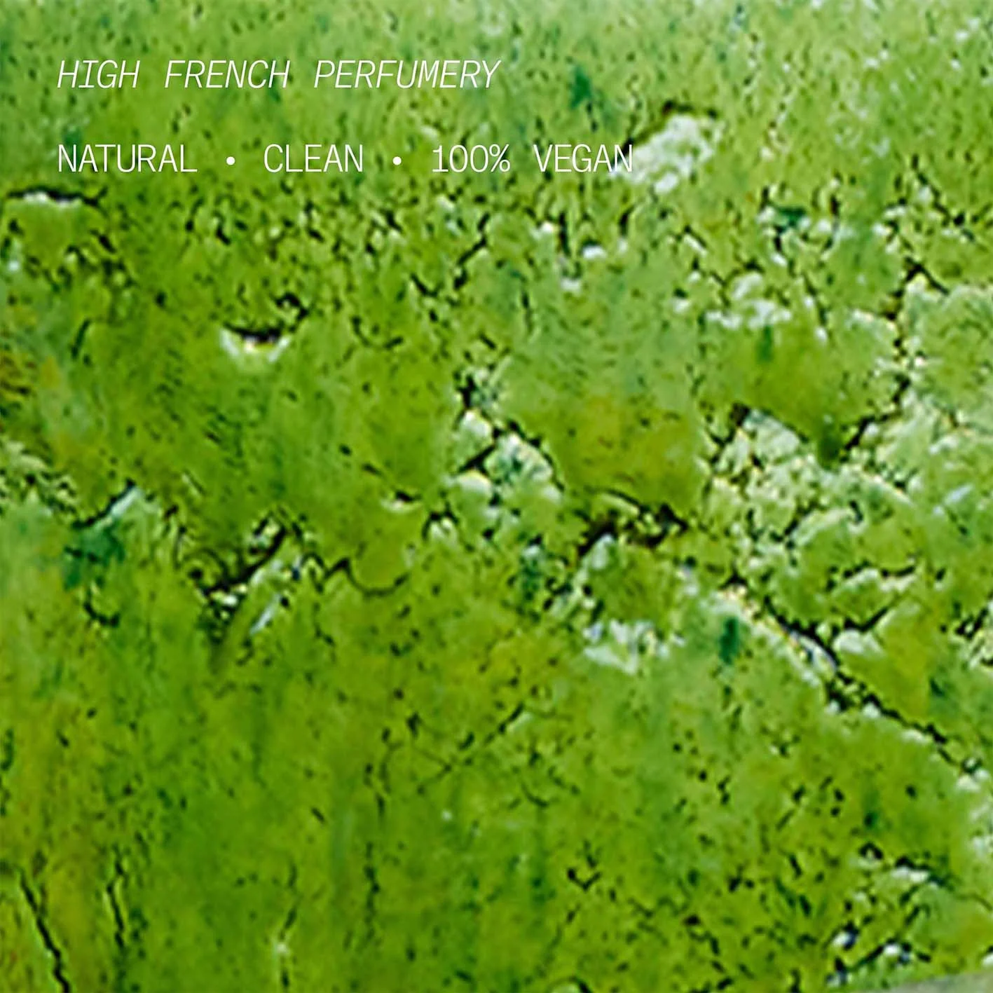 Verte Euphorie - L'Atelier Parfum - Image 5